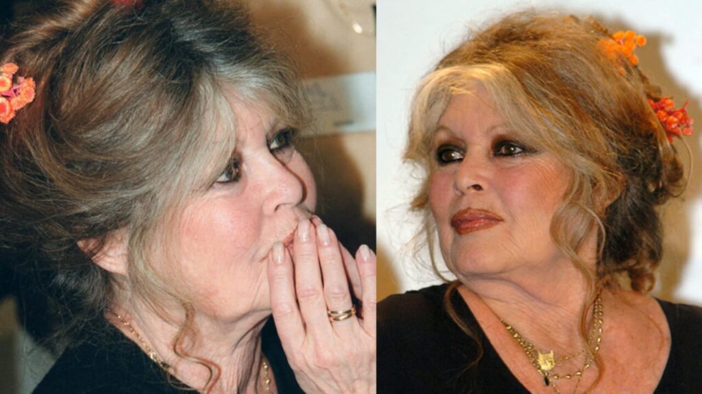 From Baudo-Bardot to Del Vecchio, the irresistible magnet of VIP inheritances