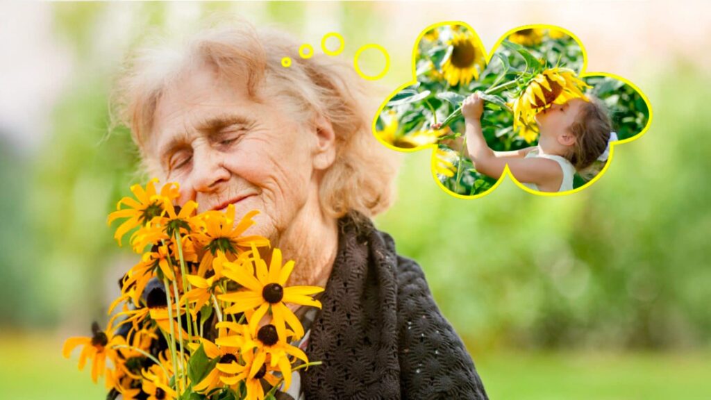 What is olfactory memory and how it works: when scents evoke memories