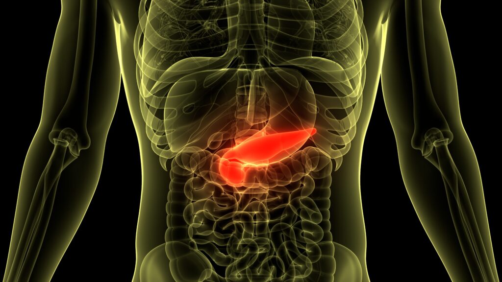 Pancreatic cancer defeated in mice in Spain: progress in research, but a cure is far away