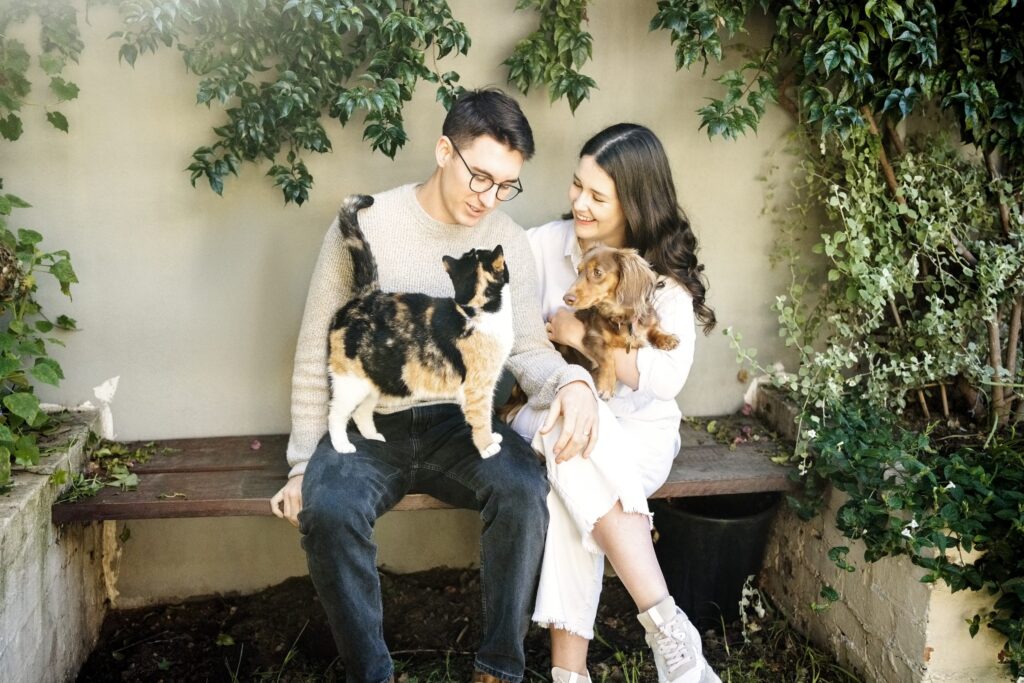 How many dogs and cats are there in Italian families?