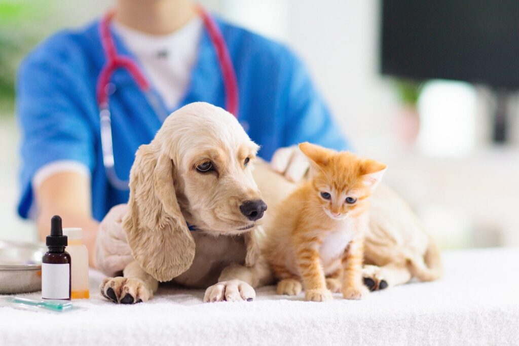 How pesticides for dogs and cats work