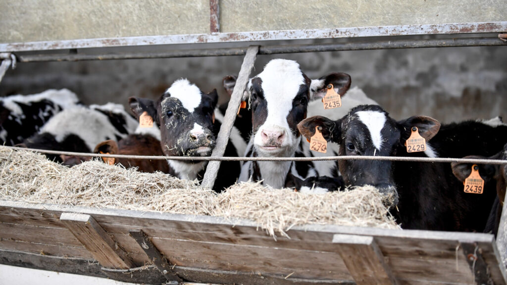 Thus European farmers will be protected from unfair competition from Mercosur