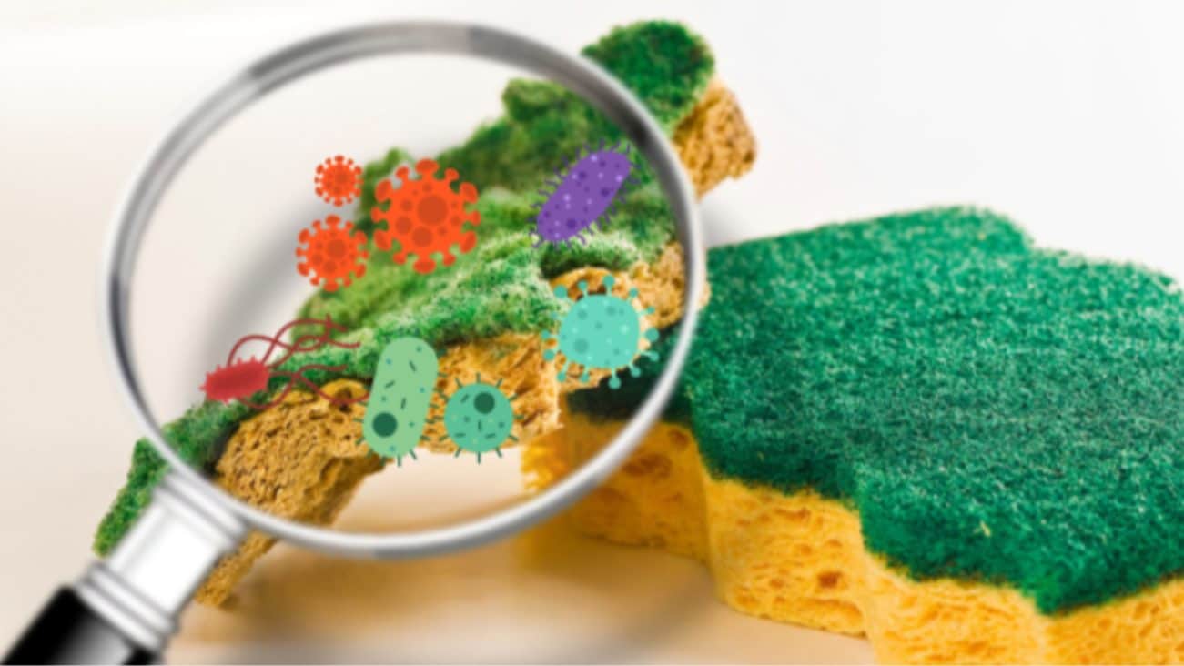 Why the kitchen sponge is one of the dirtiest objects in the house: how to protect yourself from bacteria
