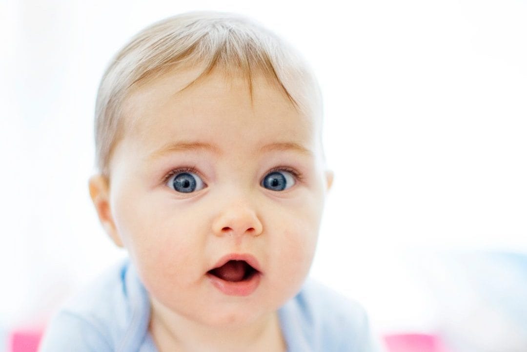 At 2 months, newborns' brains already know how to recognize and "catalogue" the world: the new discovery