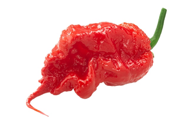 carolina reaper
