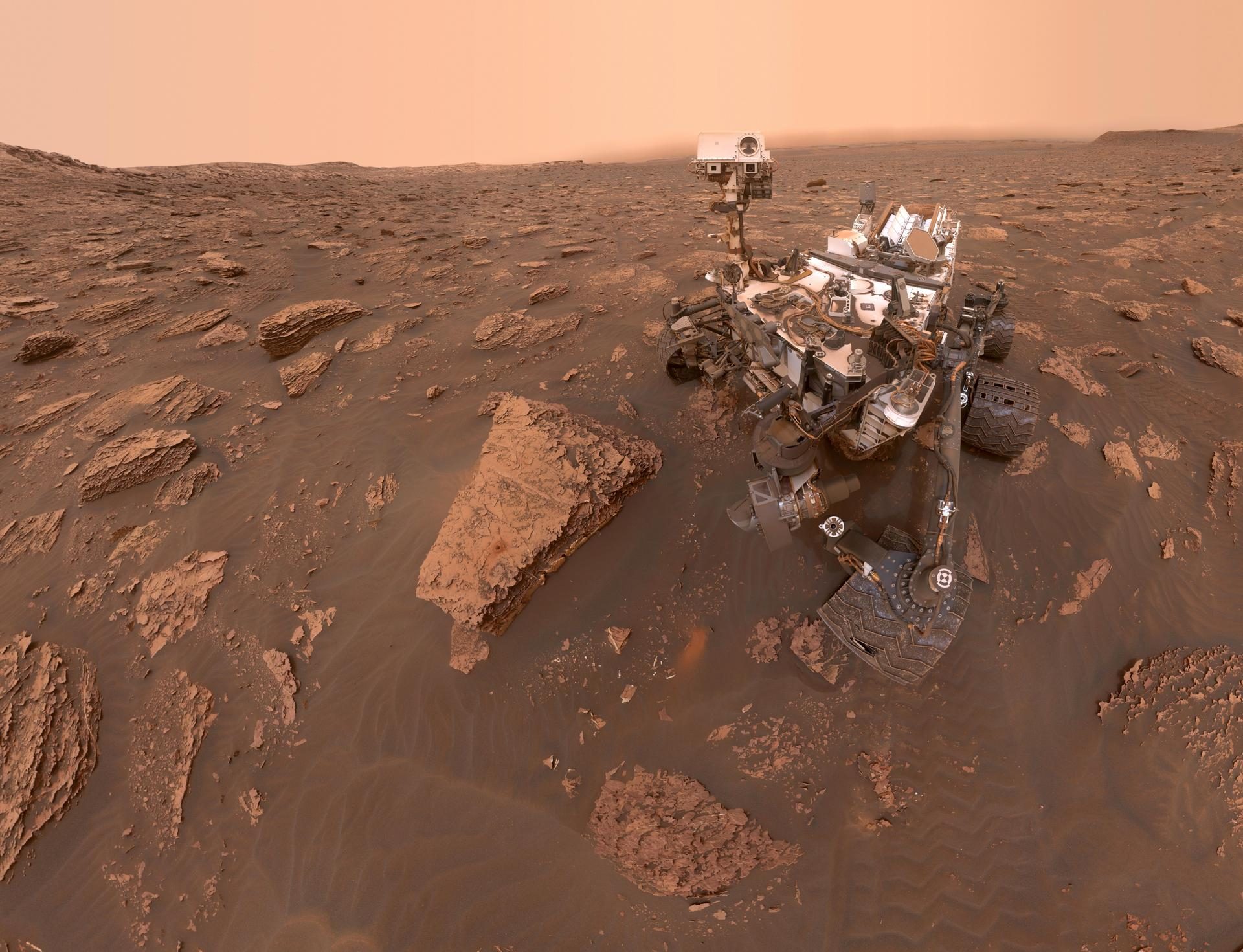 Possible traces of ancient life found on Mars by the Curiosity rover: was the planet habitable?