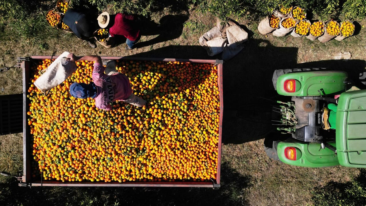 The EU against abuses in the agricultural supply chain: stop delays in payments and canceled orders