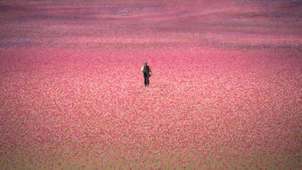 The House of Spirits, the release date of the series inspired by Isabel Allende's masterpiece has been revealed