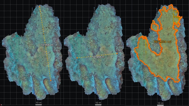 3D coral map