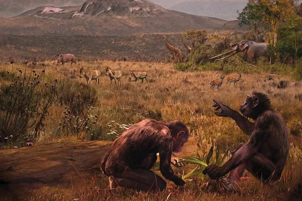 Would the human race have been born in Europe? Let's clarify the case of Graecopithechus freybergi