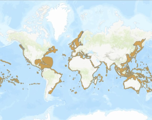 IUCN sunfish map