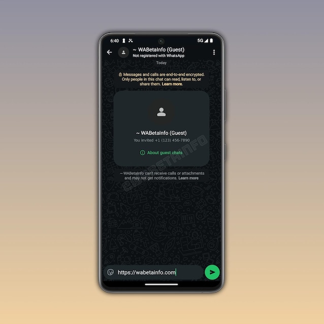 WhatsApp guest chat.