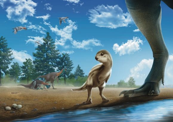 A new species of dinosaur discovered in South Korea: what we know about Doolysaurus huhmini