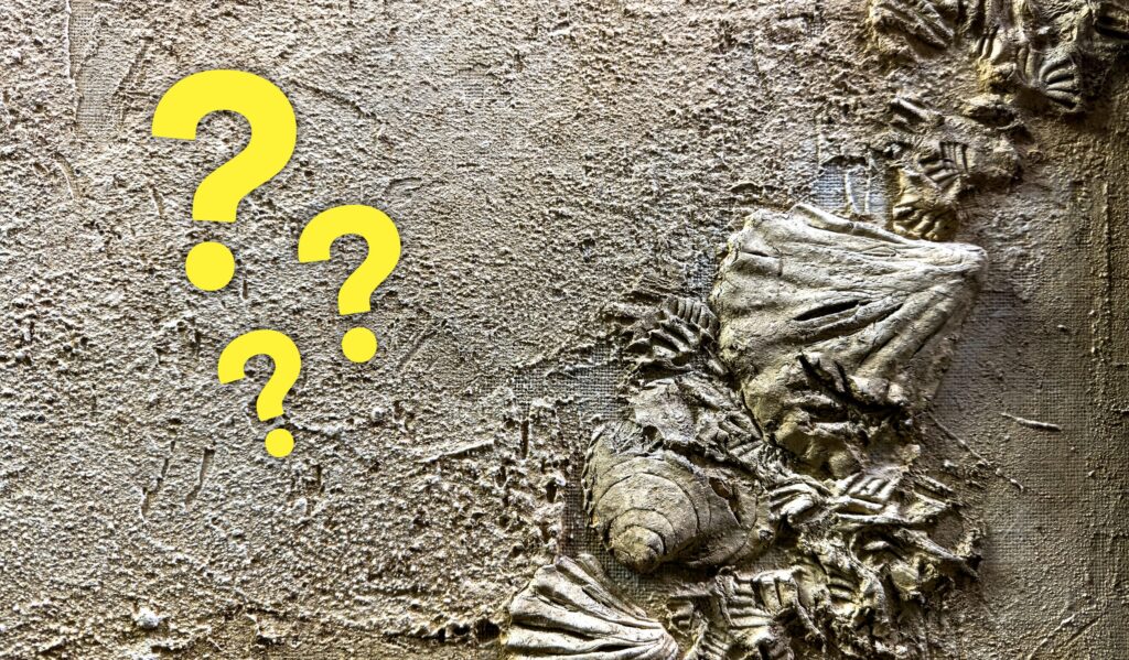 A more resistant concrete inspired by the mother of pearl of shells: what the new study says
