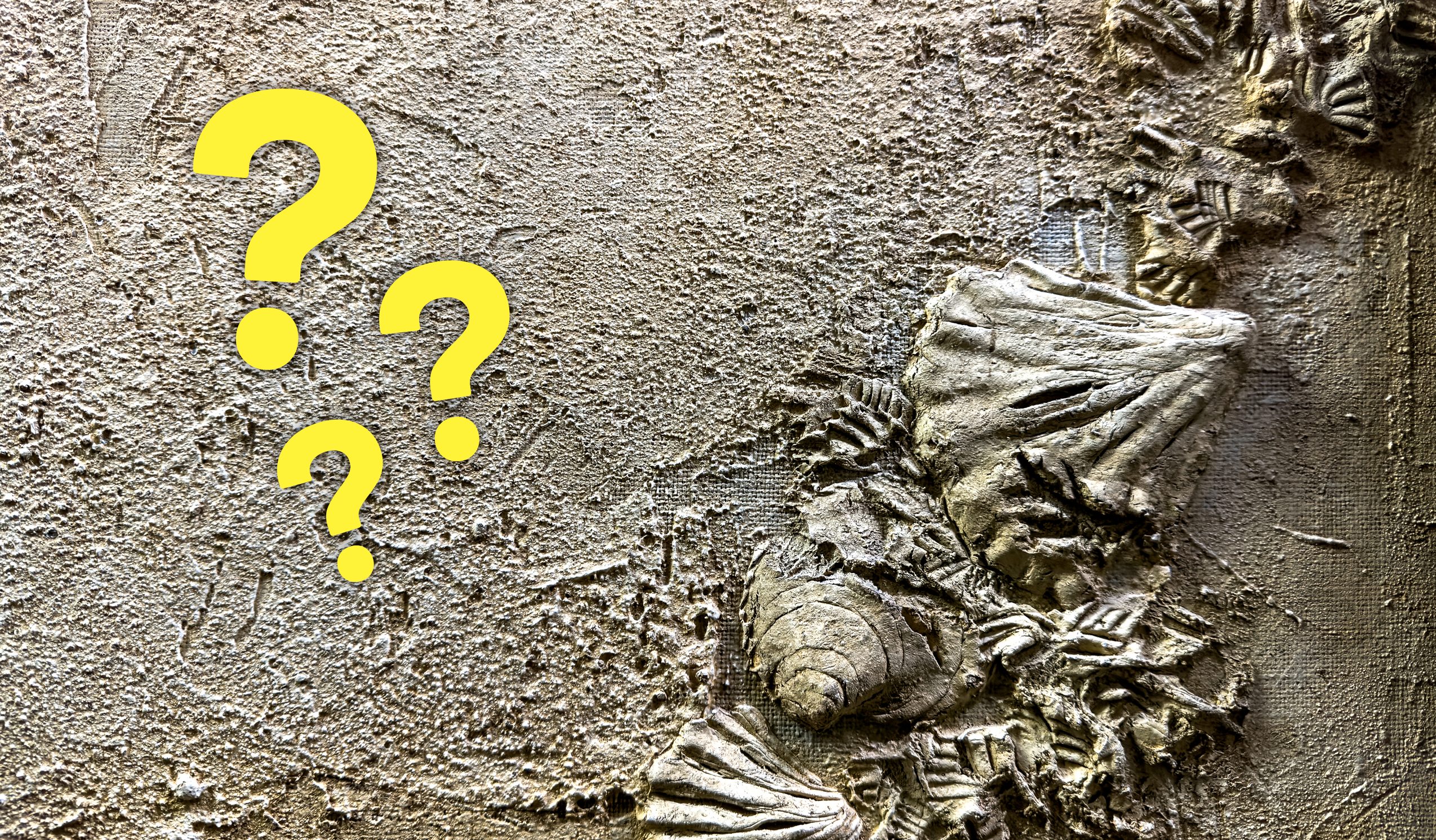 A more resistant concrete inspired by the mother of pearl of shells: what the new study says