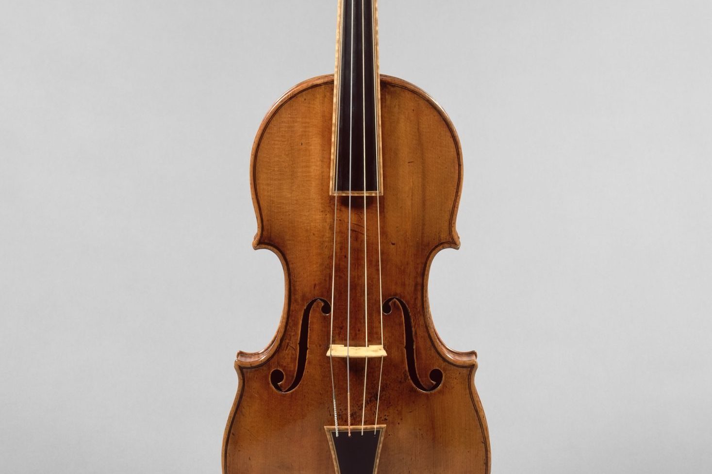 Stradivari violins are unique thanks to the wood of a "glacial" fir: the scientific discovery