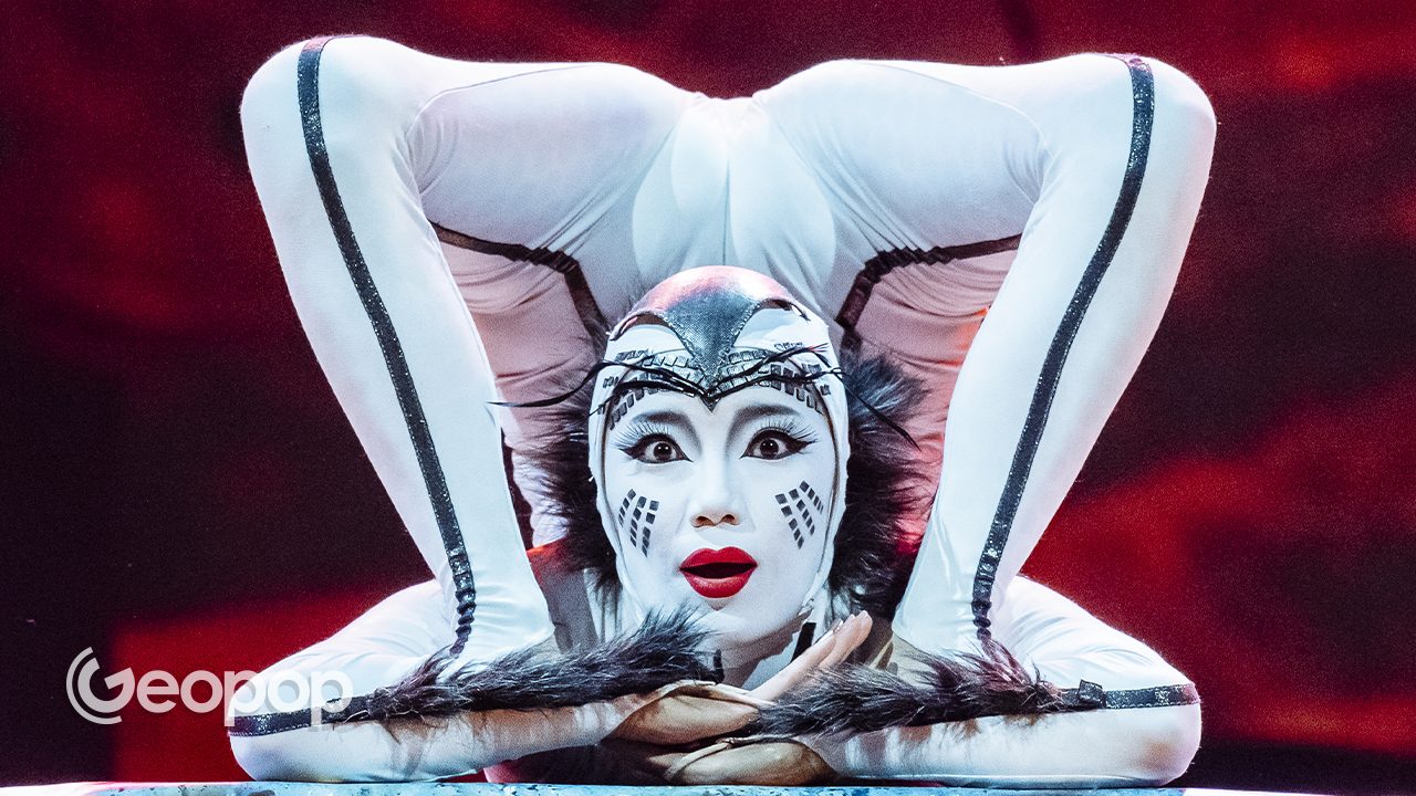 Cirque du Soleil returns to Rome with OVO: behind the scenes of the circus show