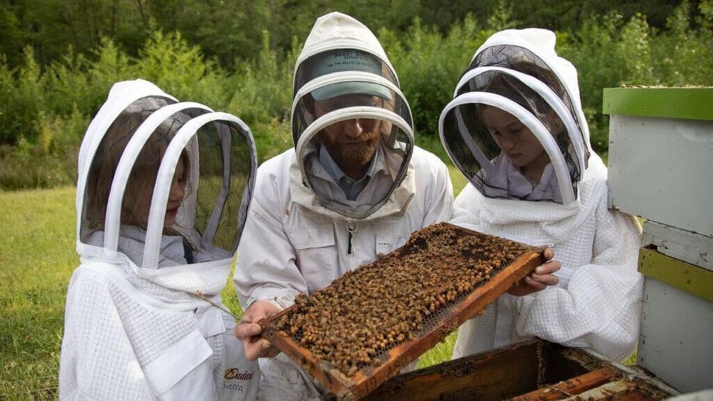 James Cameron, Bertie Gregory and National Geographic tell Secrets of the Bee on Disney+