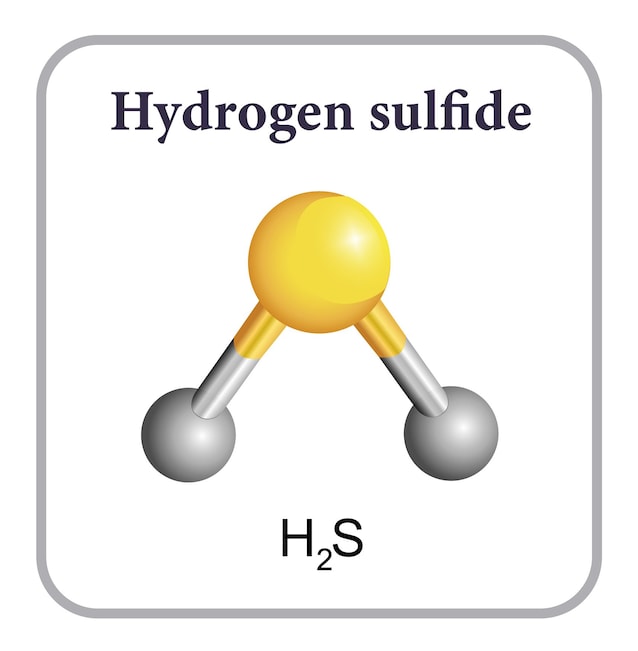 hydrogen sulfide