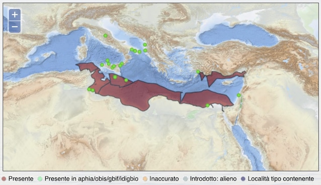 vampire snail distribution