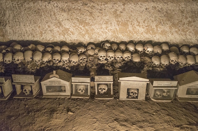 Skulls and cases (credit Dominik Matus via WIkimedia Commons)