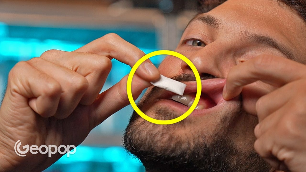 What tobacco-free nicotine pouches contain: anatomy and risks of nicotine pouches