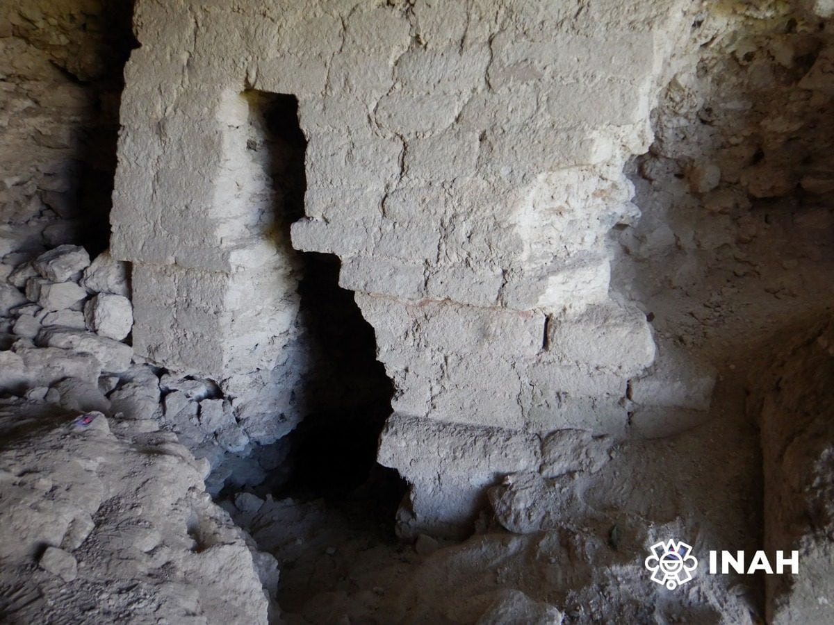 Monumental Mayan site discovered in Mexico: El Jefeciño had 80 buildings in Quintana Roo