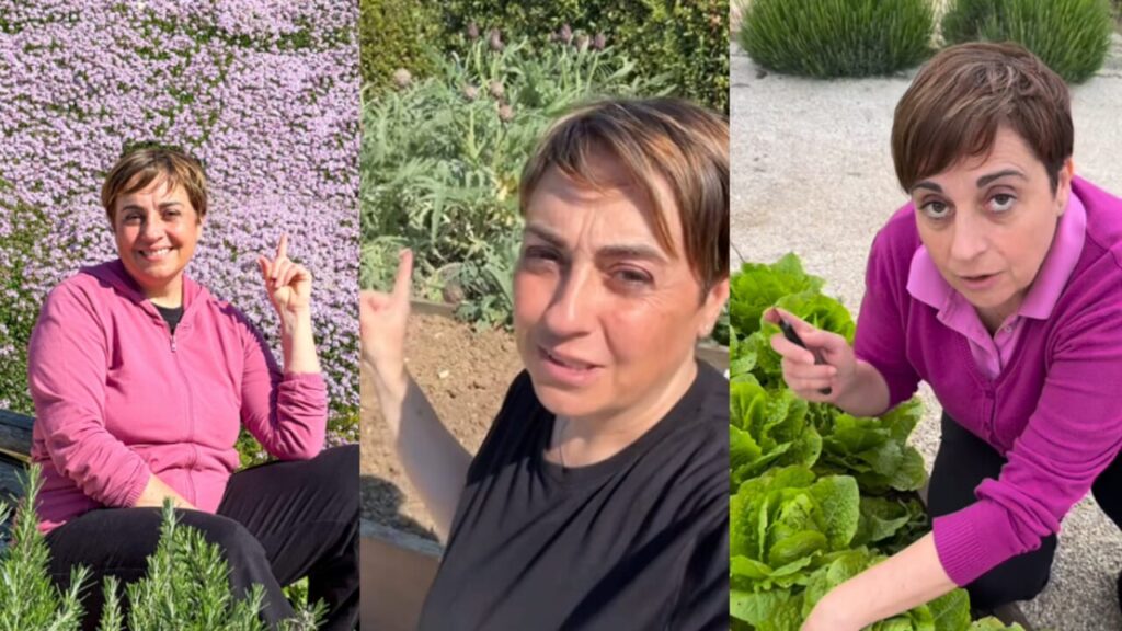 Goodbye chef, the farmers are in charge now: because i "garden influencer" they are the new stars (as Benedetta Rossi demonstrates)