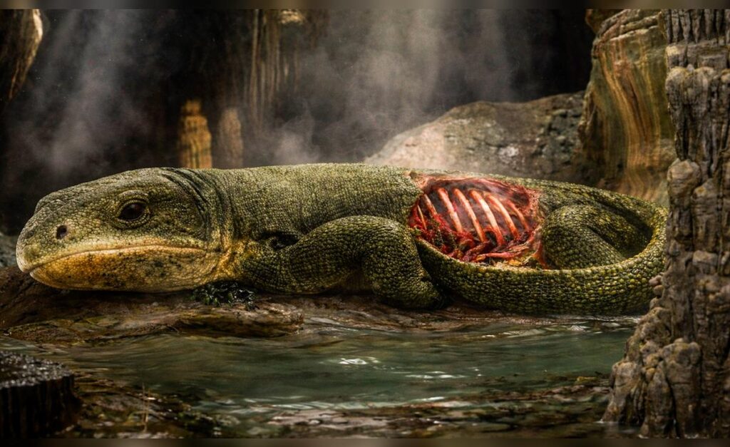 Scientists discover a reptile fossil from 289 million years ago that provides clues to the origin of respiration