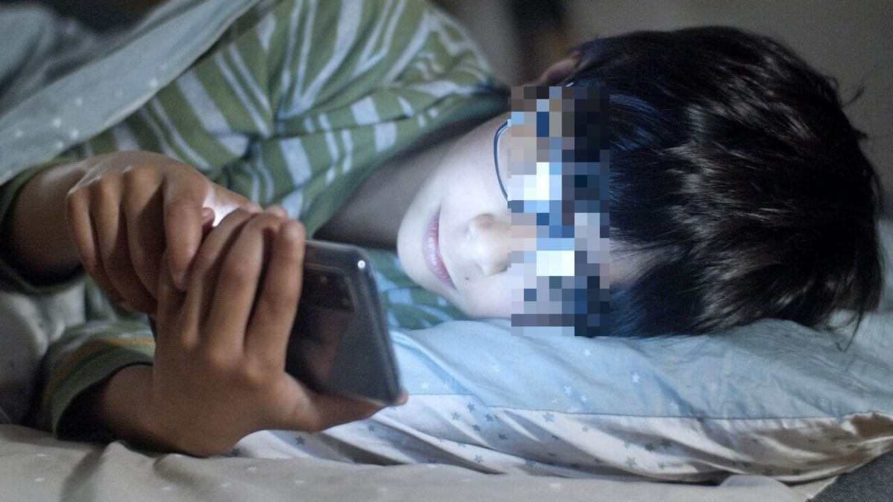 Social media prohibited for minors, the European green pass style app arrives. How it works