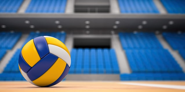 volleyball ball
