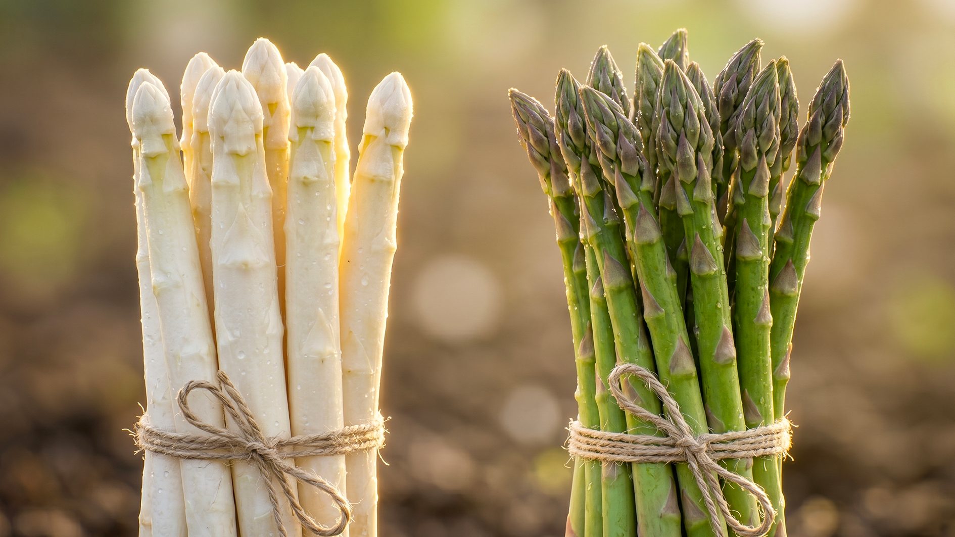 White and green asparagus are the same plant, the difference depends on how they are grown