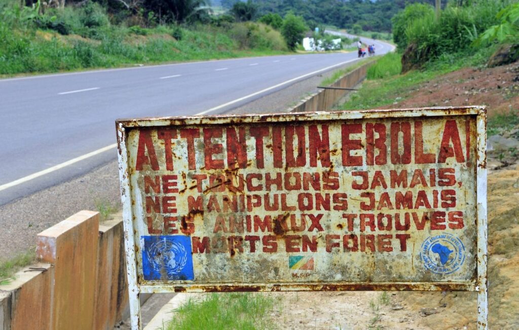 Ebola, what is the Bundibugyo virus: how it is transmitted and why the WHO has declared a global emergency