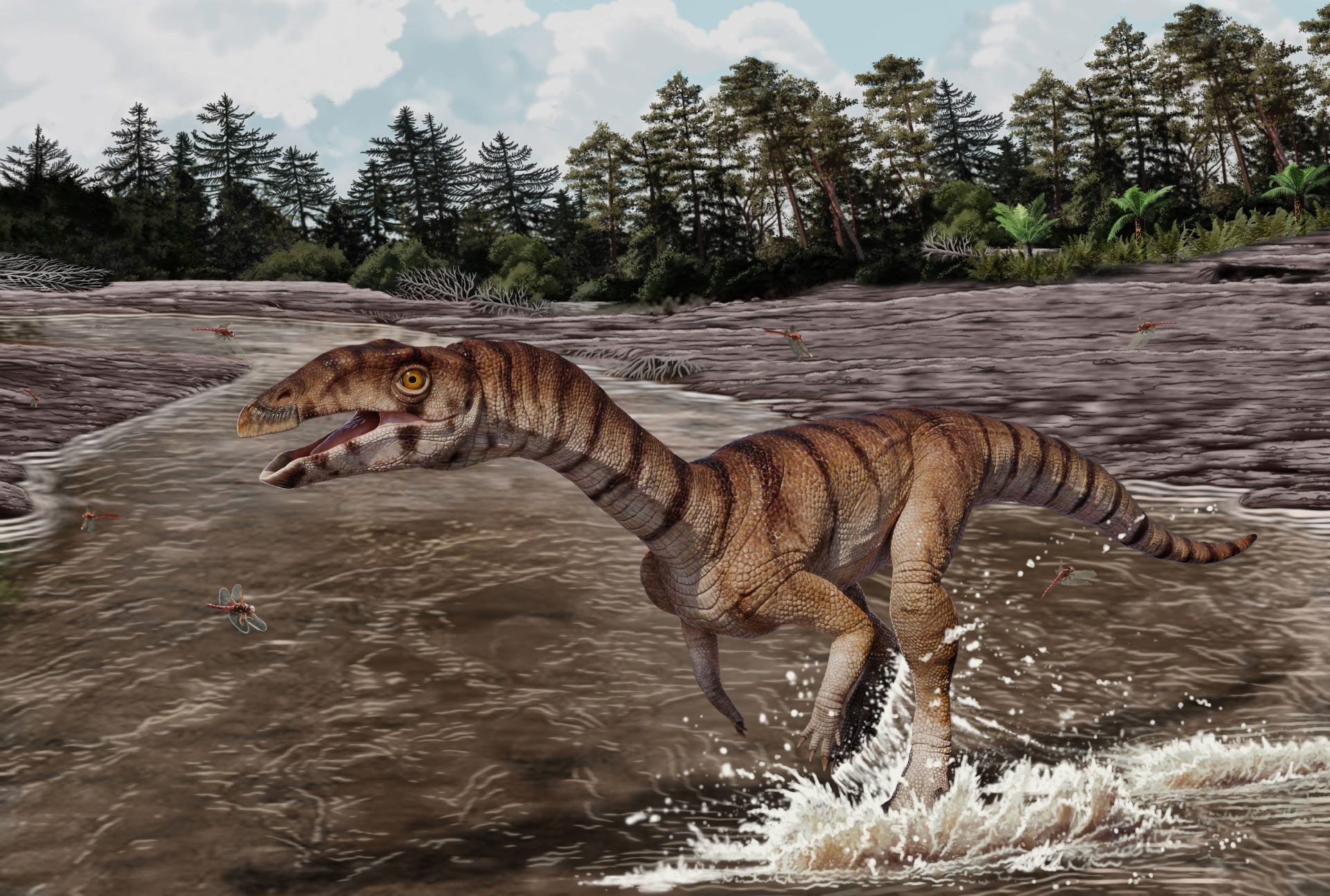 A 212 million year old Triassic "crocodile" discovered in New Mexico: it was bipedal and toothless