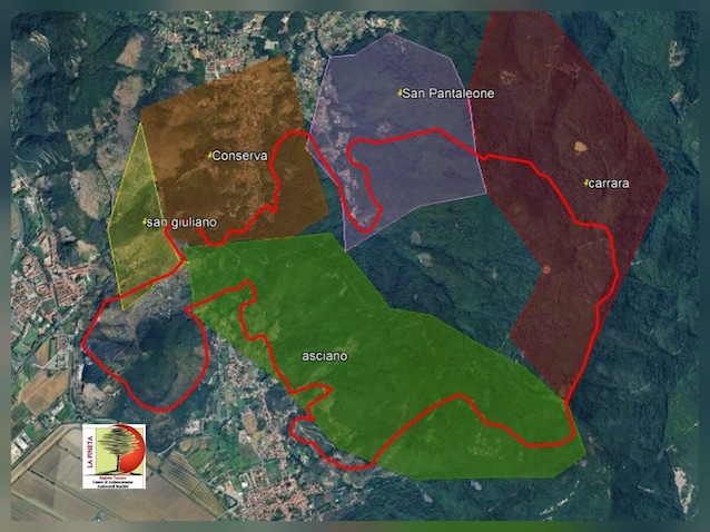 Mount Faeta fire perimeter