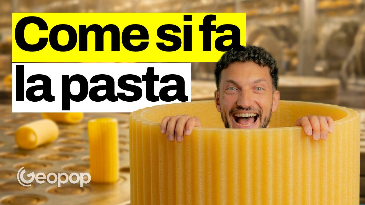 How pasta is made: the phases of the industrial process from semolina to packaging