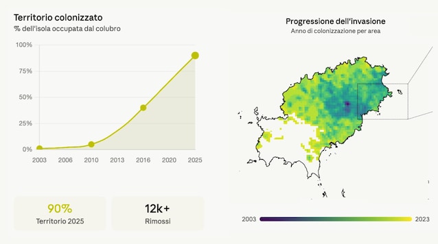 trend spread of snakes ibiza graph