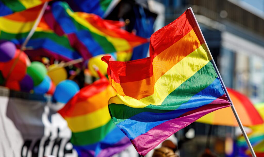 How the LGBTQIA+ rainbow flag has changed from its origins to today: the stages of evolution