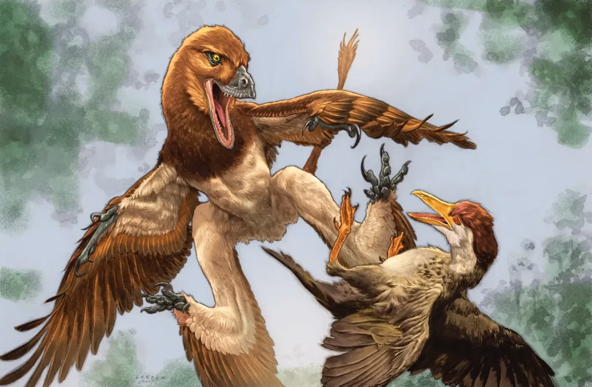 A small Avian dinosaur discovered in China, a relative of the Velociraptor: it had 4 wings