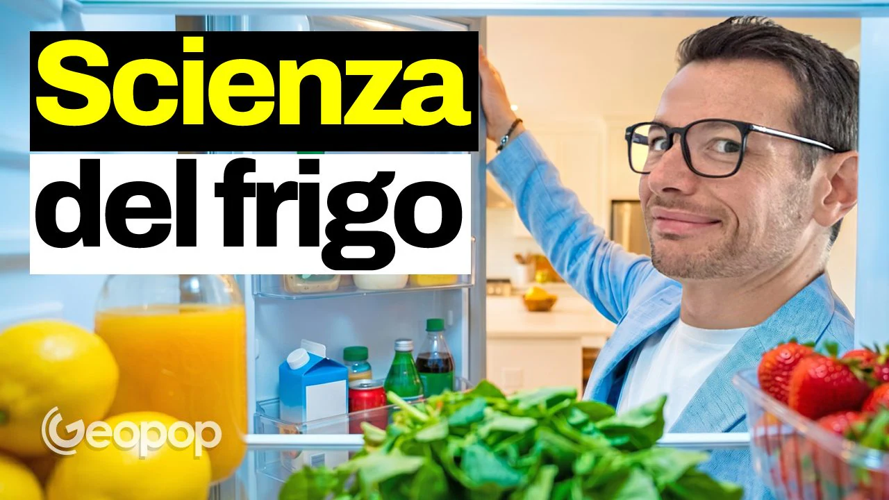 How to distribute food in the fridge: pay attention to the temperature