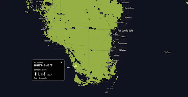 everglades mushrooms