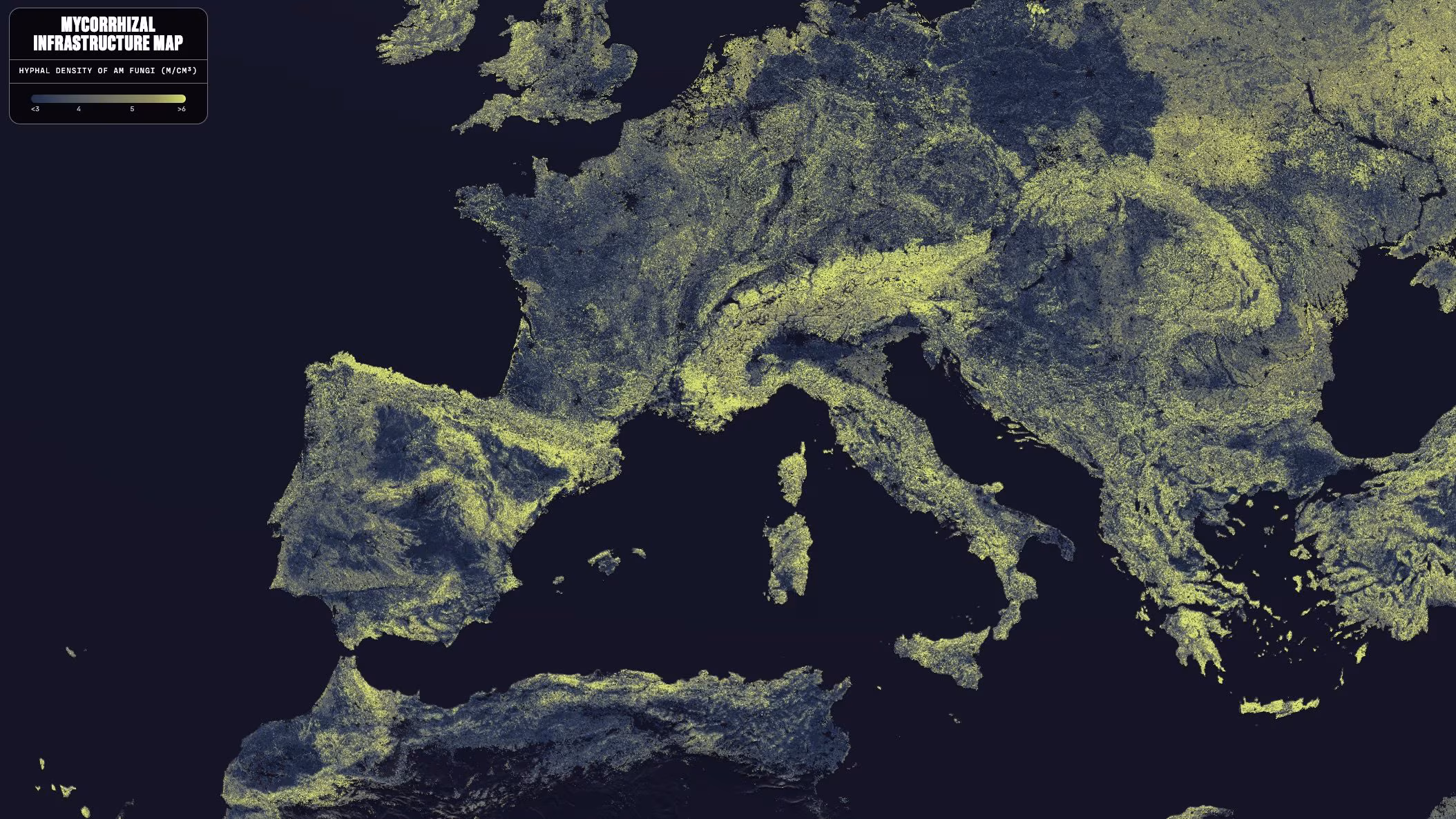 The underground mushroom network has been mapped: it is 110 quadrillion km long, as much as 1 billion Earth-Sun journeys