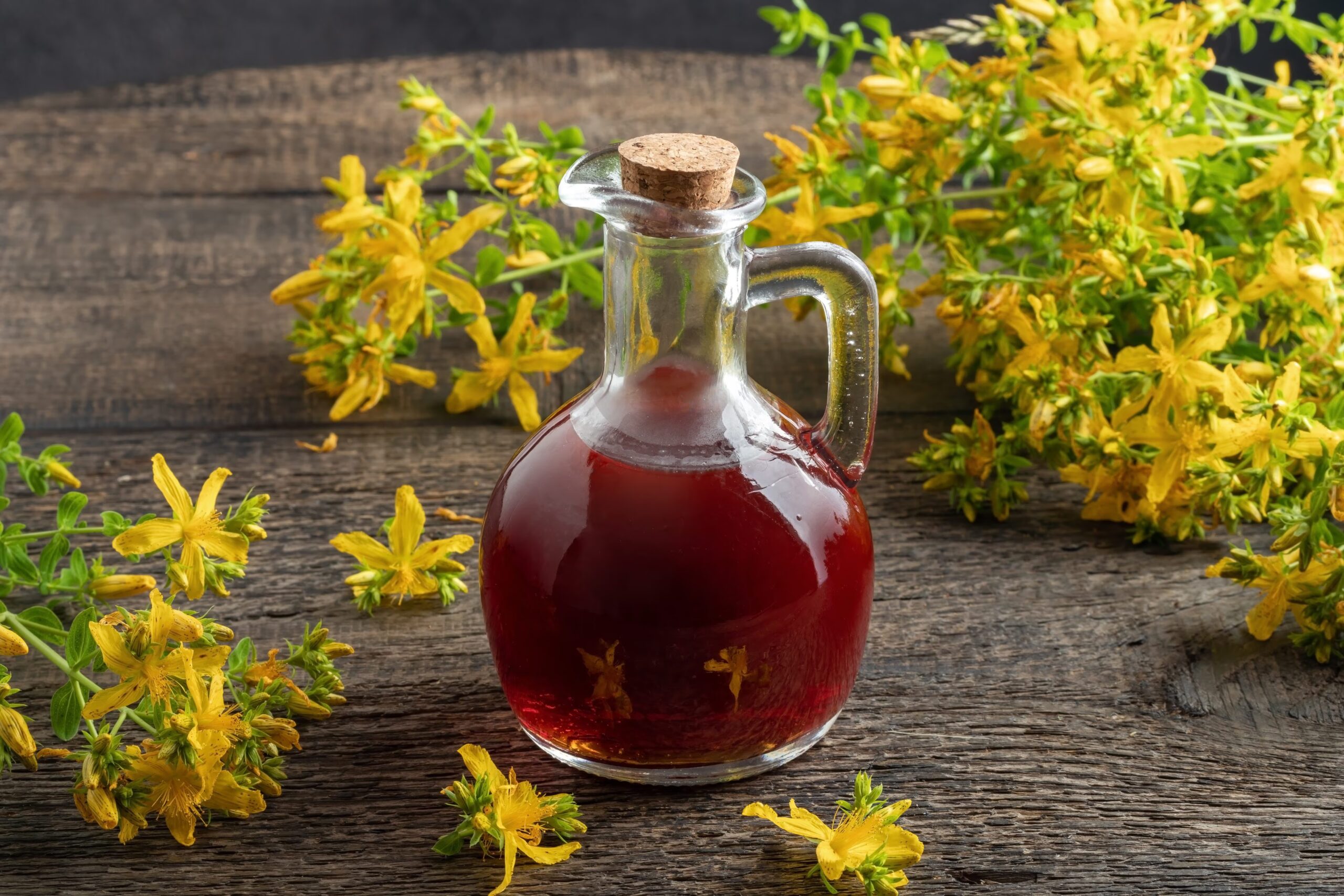 Why St. John's Wort is harvested on the night of St. John's Eve: what is it used for and what properties does the EMA recognize in it