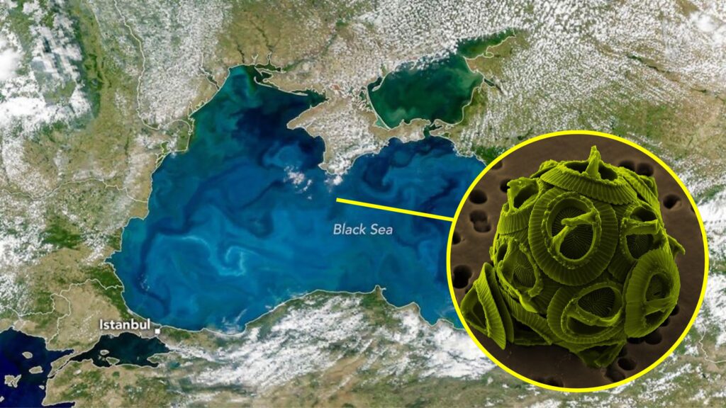 The Black Sea turns turquoise due to the blooming of phytoplankton: NASA images of coccolithophores