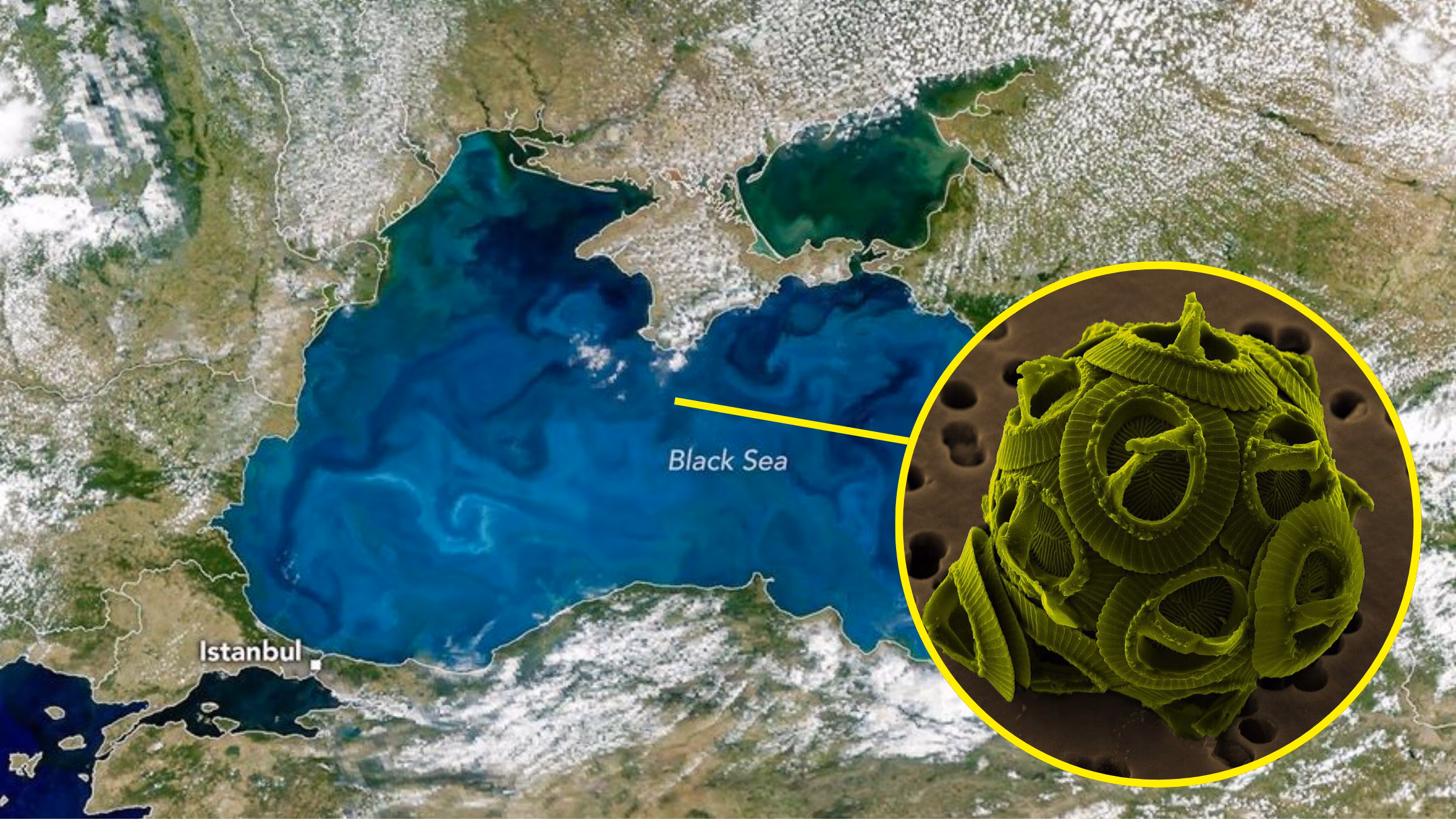 The Black Sea turns turquoise due to the blooming of phytoplankton: NASA images of coccolithophores