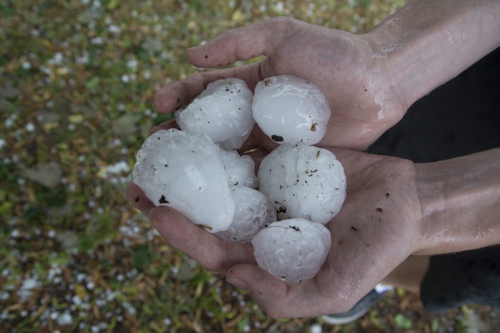 Because in Italy the hail is increasingly destructive and larger grains fall: the heat is the cause
