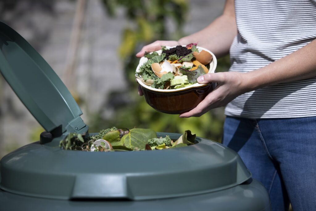 What is compost: how is it obtained from organic waste and what is it used for in gardening