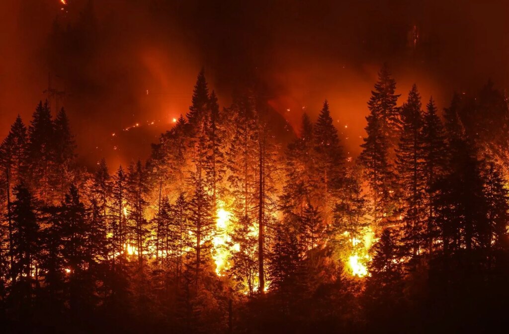 Fires in Italy 2026, +26% of areas burned compared to the average: the situation today and the most affected areas