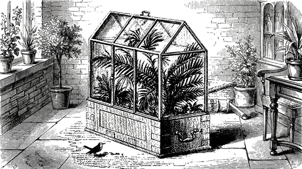 Who invented the terrarium and why this glass ecosystem was revolutionary