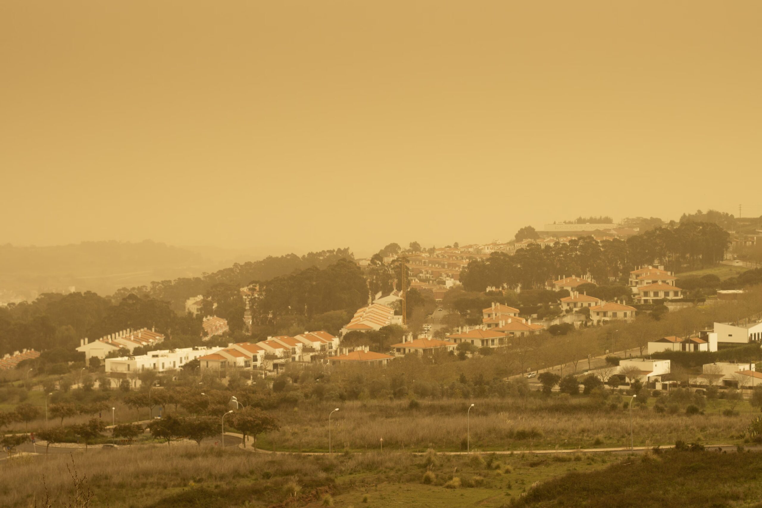 Saharan dust arriving over Europe: yellowish and milky skies, because it is increasing